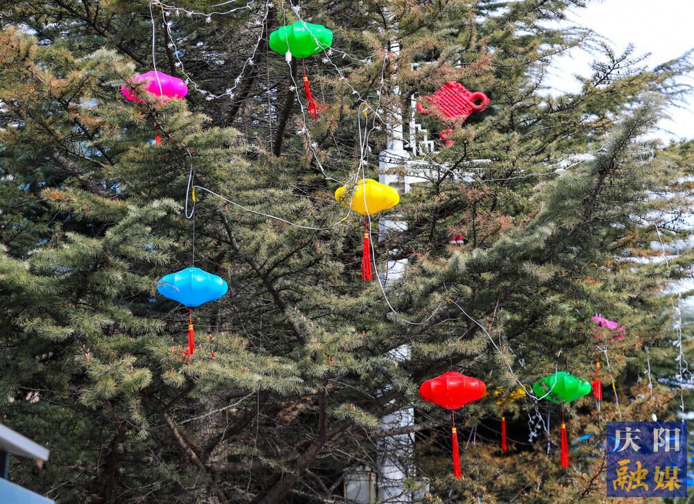 【攝影報道】春節臨近，西峰區主要街道陸續懸掛裝飾燈籠